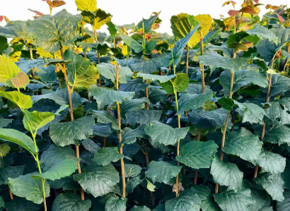 1761120792625184.png image.png